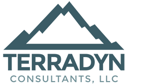 terradyn consultants logo